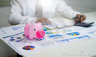 Analyzing income charts and graphs with calculator. Stock Photo