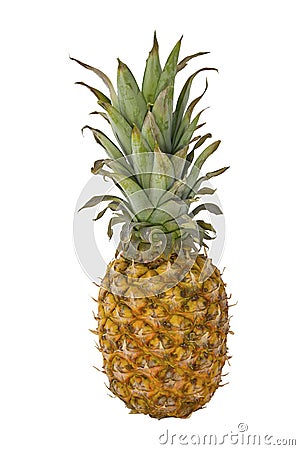 Ananas isolated Stock Photo