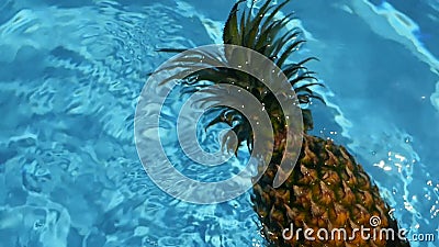 Ananas som svävar i blått vatten i simbassäng Sund rå organisk mat saftig frukt exotiskt tropiskt för bakgrund lager videofilmer Ananas som svävar i blått vatten i simbassäng Sund rå organisk mat saftig frukt exotiskt tropiskt för bakgrund lager videofilmer