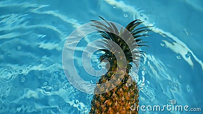 Ananas som svävar i blått vatten i simbassäng Sund rå organisk mat saftig frukt exotiskt tropiskt för bakgrund arkivfilmer Ananas som svävar i blått vatten i simbassäng Sund rå organisk mat saftig frukt exotiskt tropiskt för bakgrund arkivfilmer