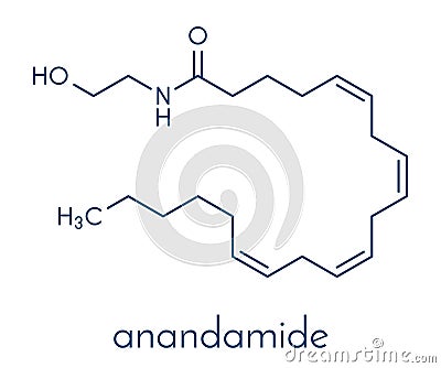 Anandamide endogenous cannabinoid neurotransmitter molecule. Skeletal formula. Vector Illustration