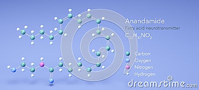 anandamide, molecular structures, Fatty acid neurotransmitter, 3d model, Structural Chemical Formula and Atoms with Color Coding Stock Photo
