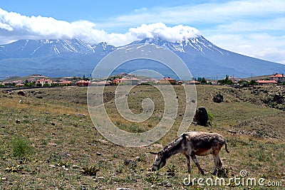 Anatolia Stock Photo