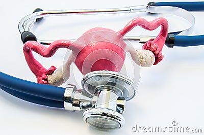 Anatomical 3D volume shape of womb or uterus with ovary near stethoscope, which examines it. Concept photo for exam or test, diagn Stock Photo