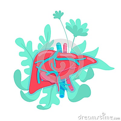 Anatomical liver flat concept vector illustration Vector Illustration