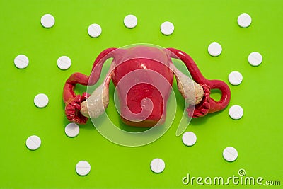 Anatomical model of female uterus with ovaries is on green background with white tablets around, forming ornament in polka dots. C Stock Photo