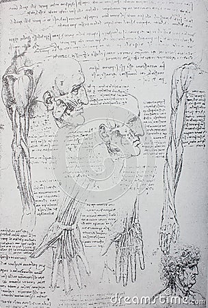 Anatomical notes. Face, head, wrist, hand. Manuscripts of Leonardo da Vinci in the vintage book Leonardo da Vinci by A.L. Editorial Stock Photo