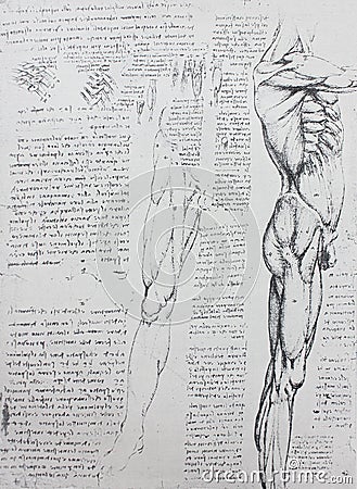 Anatomical notes. Leg, foot. Manuscripts of Leonardo da Vinci in the vintage book Leonardo da Vinci by A.L. Volynskiy, St. Stock Photo