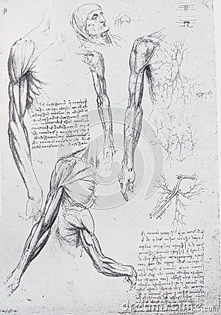 Anatomical notes. Profile, face, foot. Manuscripts of Leonardo da Vinci in the vintage book Leonardo da Vinci by A.L. Volynskiy, Stock Photo