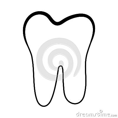 Anatomical shape of dental dentin enamel pulp, vector structure of teeth with logo for dental clinic Vector Illustration