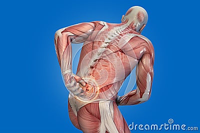 Anatomical vision back pain. Cartoon Illustration