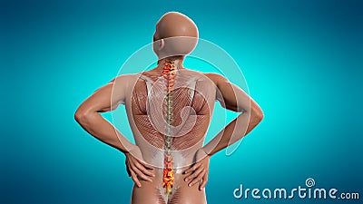 Anatomical vision back pain. Spine anatomy. 3D illustration Stock Photo