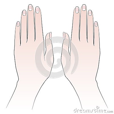 Anatomy Bones hand. Palm and fingers with nails. Vector image on white background Vector Illustration