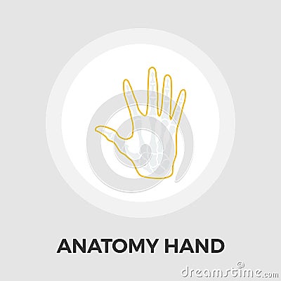 Anatomy hand Vector Flat Icon Vector Illustration