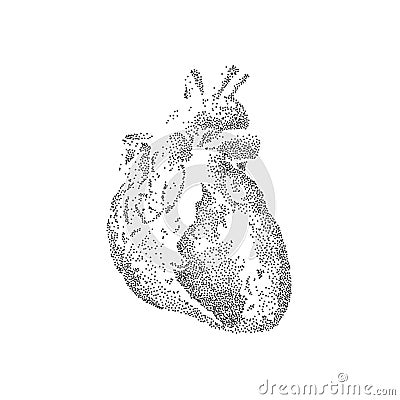 Anatomy heart, human organ illustration. Vintage tattoo. Vector art Vector Illustration