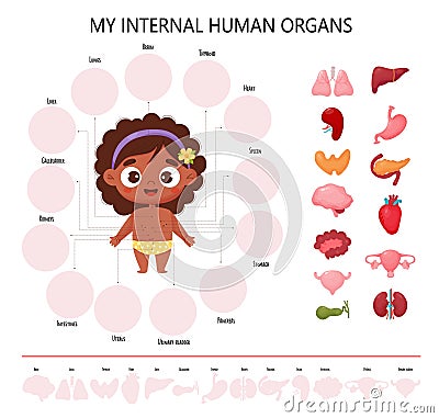Anatomy human body. Infographics with cute black ethnic girl. Visual scheme healthy internal female organs, names and Vector Illustration