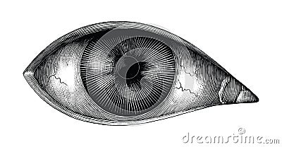 Anatomy of human eye hand draw vintage clip art isolated on white background Vector Illustration