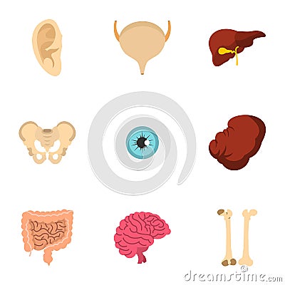 Anatomy icons set, flat style Vector Illustration