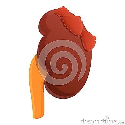 Anatomy kidney icon, cartoon style Vector Illustration