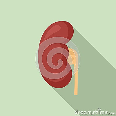 Anatomy kidney icon, flat style Vector Illustration
