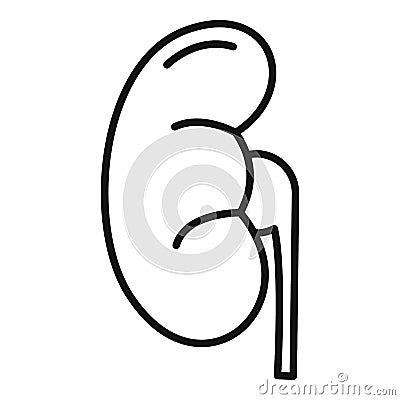 Anatomy kidney icon, outline style Vector Illustration