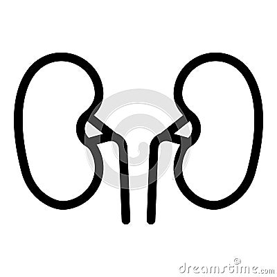 Anatomy kidney icon, outline style Vector Illustration