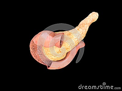 Anatomy pancreas top view on black background, duodenum, 3D render Cartoon Illustration