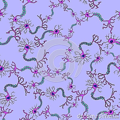 Anatomy of a typical human neuron Vector 1 Vector Illustration