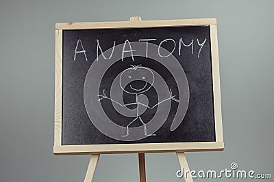 Anatomy word written on chalkboard Stock Photo