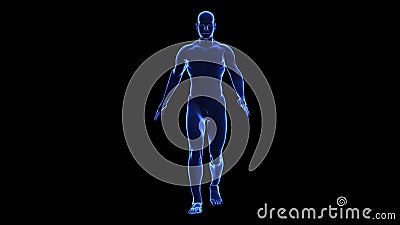 Anatomía del cuerpo humano: piel libre illustration Anatomía del cuerpo humano: piel libre illustration