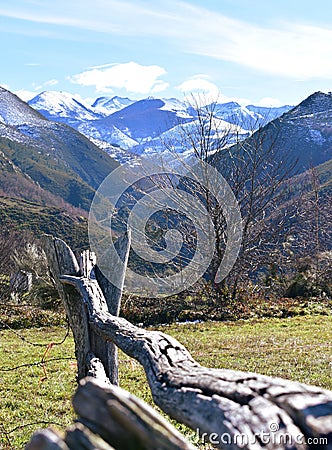 Winter landscape with snowy mountains, wooden fence and green valley. Lugo, Spain. Stock Photo