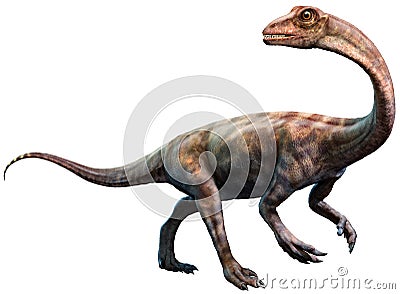 Anchisaurus from the Jurassic era 3D illustration Cartoon Illustration