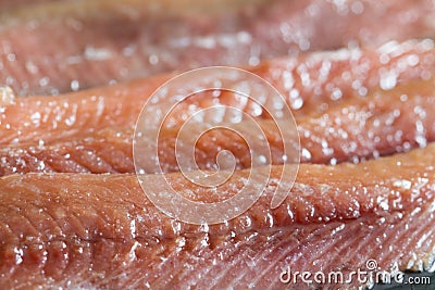 Anchois fisch fillet in oil closeup Stock Photo