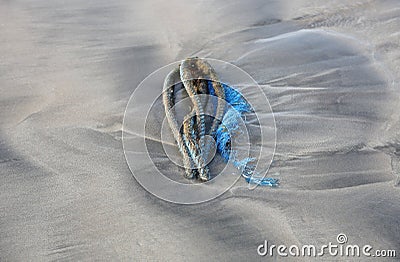 Anchor in sand buried deep with hands Stock Photo