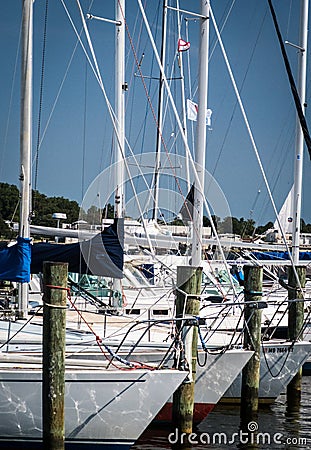 Anchored yachts at the Annapolis EYC Marina Editorial Stock Photo