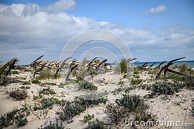 Barril Beach Algarve Portugal Stock Photo