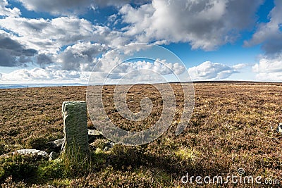 An ancient boundary stone on Ilkley moor. Yorkshire Stock Photo