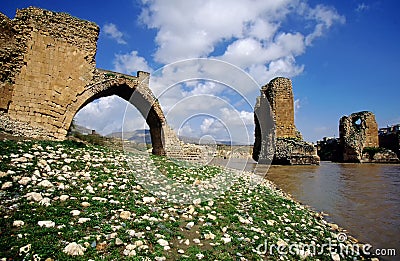 The ancient bridge over the Tirgis river in Hasankeyf, Turkey Stock Photo
