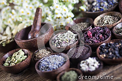 The ancient Chinese medicine Stock Photo