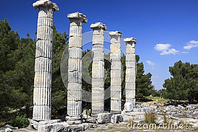 Ancient Columns in Priene Stock Photo