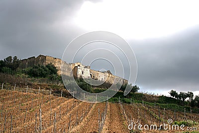 Ancient country stronghold farm _ Vineyards. Fields & Trees Stock Photo