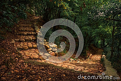 Ancient foot path way in wilderness forest, stone track and stairs builded by people in old time Stock Photo