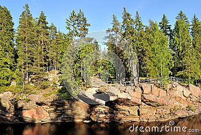 Ancient forest in Imatra, Finland Stock Photo