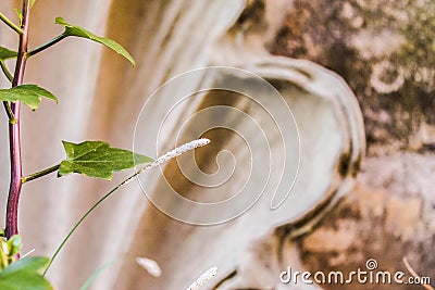 Ancient Fountain Detail Fountain European Stock Photo