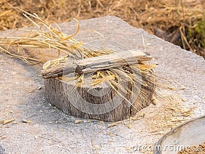 Ancient grain hand grinding wood stick Stock Photo