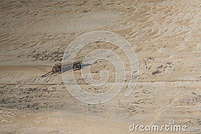 Ancient horse wagon in the Namib desert Stock Photo