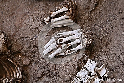 Ancient Human Bones - Hands and Vertebrae Stock Photo