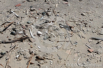 Ancient Human Bones in the Sand Stock Photo