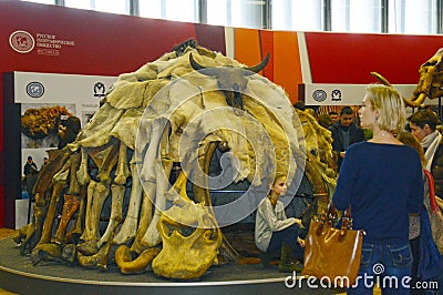 Ancient human habitation. International archaeological exhibition. Moscow. Autumn. Traffic Editorial Stock Photo