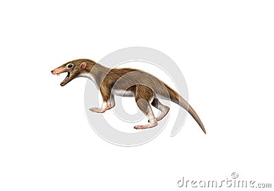 Ancient mammal Megazostrodon Cartoon Illustration